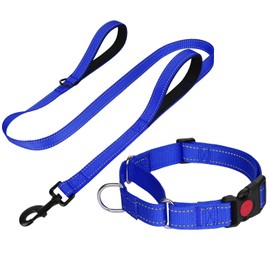 FunTags Reflective Martingale Collar for Dogs, Quick Release Buckle, 5FT Double Handle Dog Leash Padded, Dog Collar and Leash Set, Adjustable for Small Dogs (Navy Blue, S)