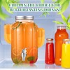 FillTouch 1 Gallon Cactus Drink Dispenser for Parties, 135 oz