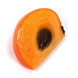 Food Sample Magnet, Persimmon Cut, 98.8 ft (263 m)
