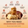 RYZE SUPERFOODS Mushroom Coffee, 30 servings