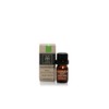 Apivita Essential Oil Basil Clear Mind 5ml