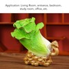 Lucky Cabbage Crafts Chinese Bai Cai Ornament Resin Feng Shui