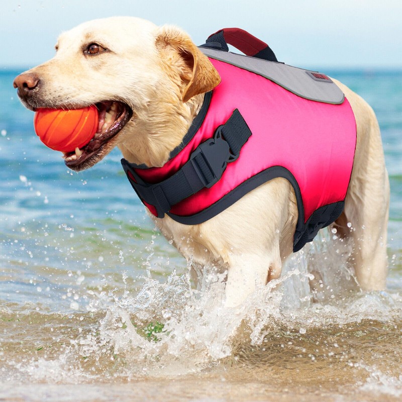 KONG Sport Water Float Dog Flotation Life Jacket Vest, Swimming