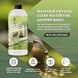 16oz Bird Bath Cleaner, Cleans 80 Gallons of Water, Ideal Fountain Cleaner Safe for Birds, Bird Bath Fountains Clarifier, Liquid Birdbath and Fountain Maintenance, Promotes Clean & Clear Water