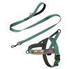 Annchwool No Pull Dog Harness with Padded Handle+5 Ft Leash,Reflective