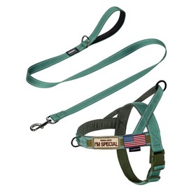 Annchwool No Pull Dog Harness with Padded Handle+5 Ft Leash,Reflective Strip Escape Proof and Quick Fit to Adjust Dog Harness,Easy for Training Walking for Small & Medium and Large Dogs(Green-Set,XL)