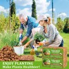 Riare 10 Pack Coco Chips Substrate for Plants- 11lb 100%
