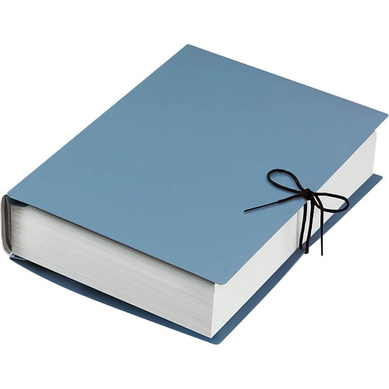 A4 Tateao Kokuyo S & T moths bat file (japan