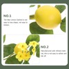Levemolo Lemon Garland Simulation Rattan Decor Green Leaves Artificial Lemon