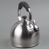 Creative Home Galaxy 2.6 Qt Stainless Steel Whistling Tea Kettle