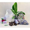 Orchid repotting kit - 6 inch pots with Potting Mix,