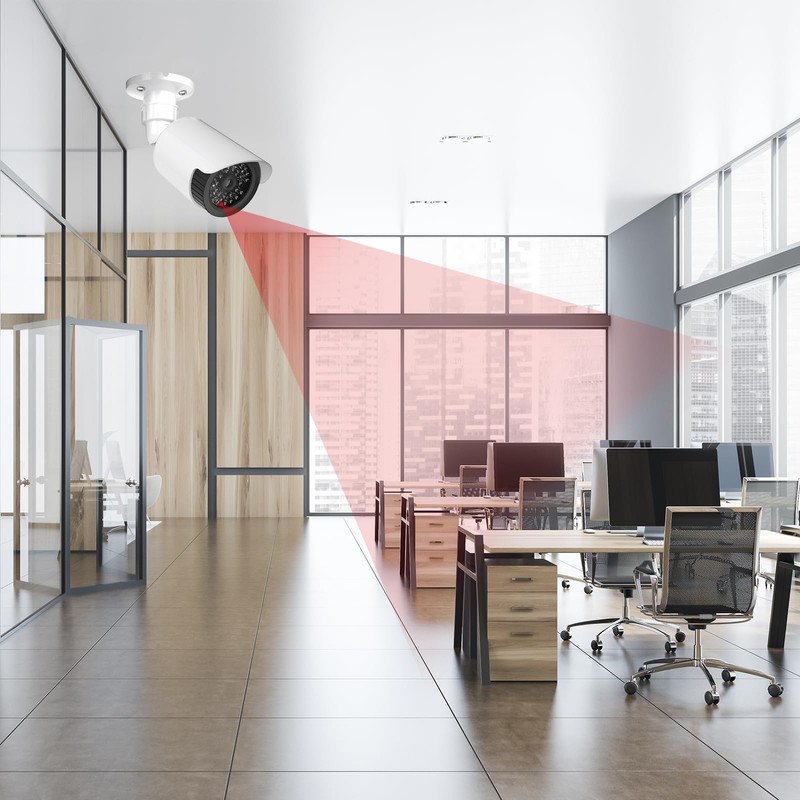 WALI Dummy Fake Camera, Surveillance Security CCTV Dome Camera, Indoor