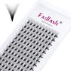 Fadlash Premade Volume Eyelash Extensions, 16D, 0.07 mm, D Curl,
