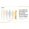 Cellx Espermidina 3hcl Con Resveratrol 60 Cpsulas Veganas Sabor Sin
