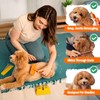 Doodle Brush for Dogs - Goldendoodle Brush with Poodle Comb