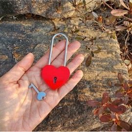Namsan Tower Love Lock Heart Lock