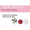 Duo Shampoo Y Acondicionador 1lto Color Protect Framesi
