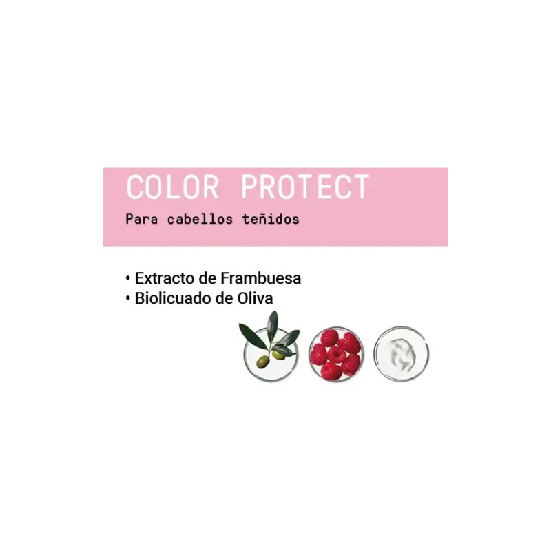 Duo Shampoo Y Acondicionador 1lto Color Protect Framesi