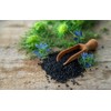 Thames Organic Nigella Seeds (Black Cumin/Kalonji) – 100% Pure &