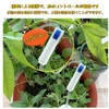 Watering Power Supply Cap for Plants, Set of 6, Ceramic,
