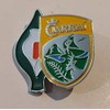 Kerry Easter Lily Enamel Pin Badge - Irish Republican 1916