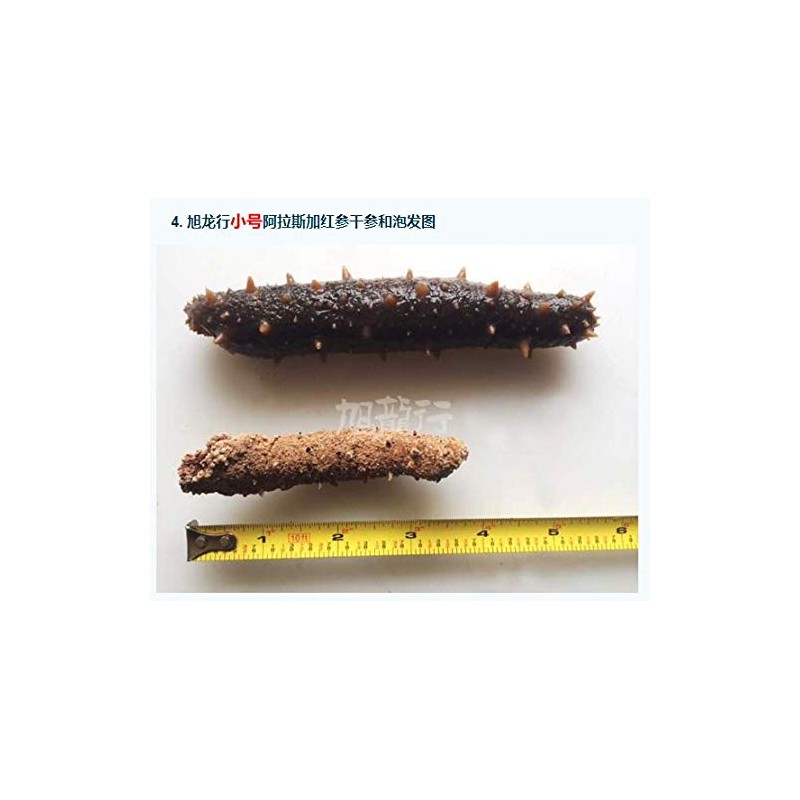 XXlseafood Premium Sun Dried Alaska Sea Cucumber Sample pack （2