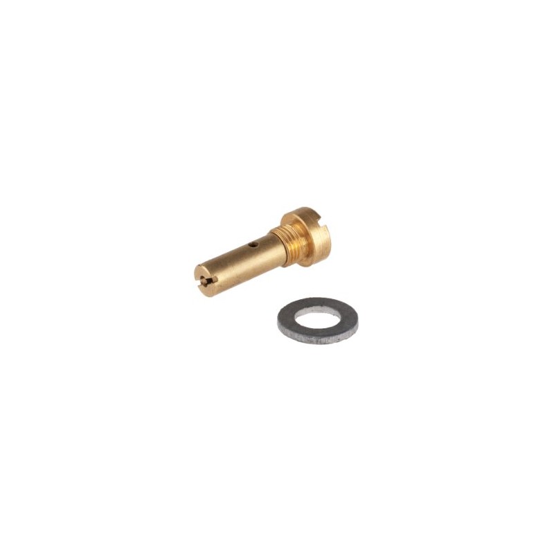 Petromax Pump Valve with Washer for HK150/HK250/HK350/HK500 Pressure Lanterns, Includes