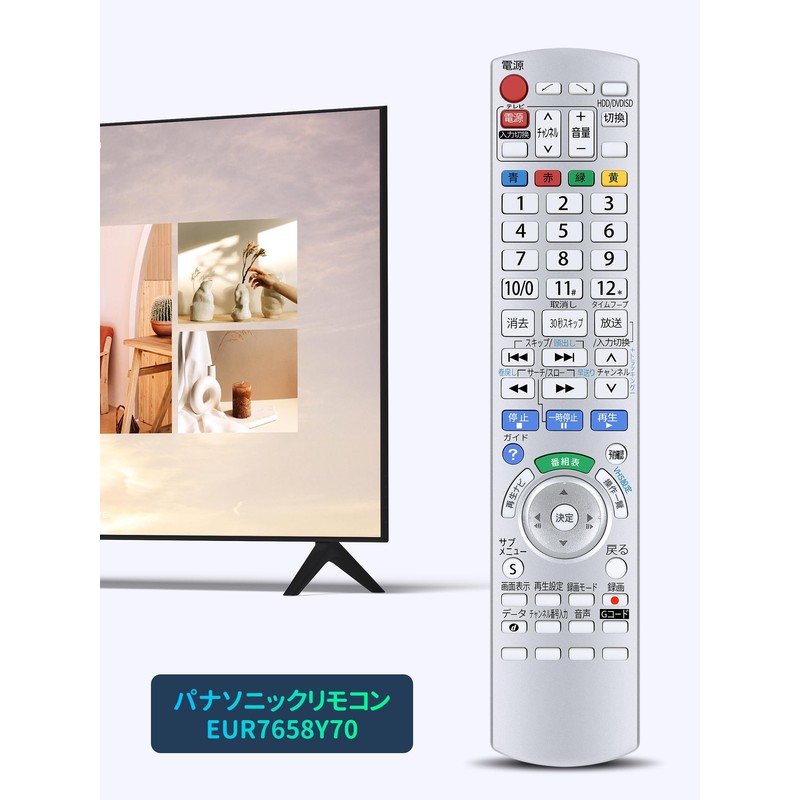 Recorder Remote Control EUR7658Y70 for Panasonic DIGA DMR-EX250V