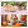 Huhumy 2 Pcs 47 x 24 Inch Guinea Pig Bedding