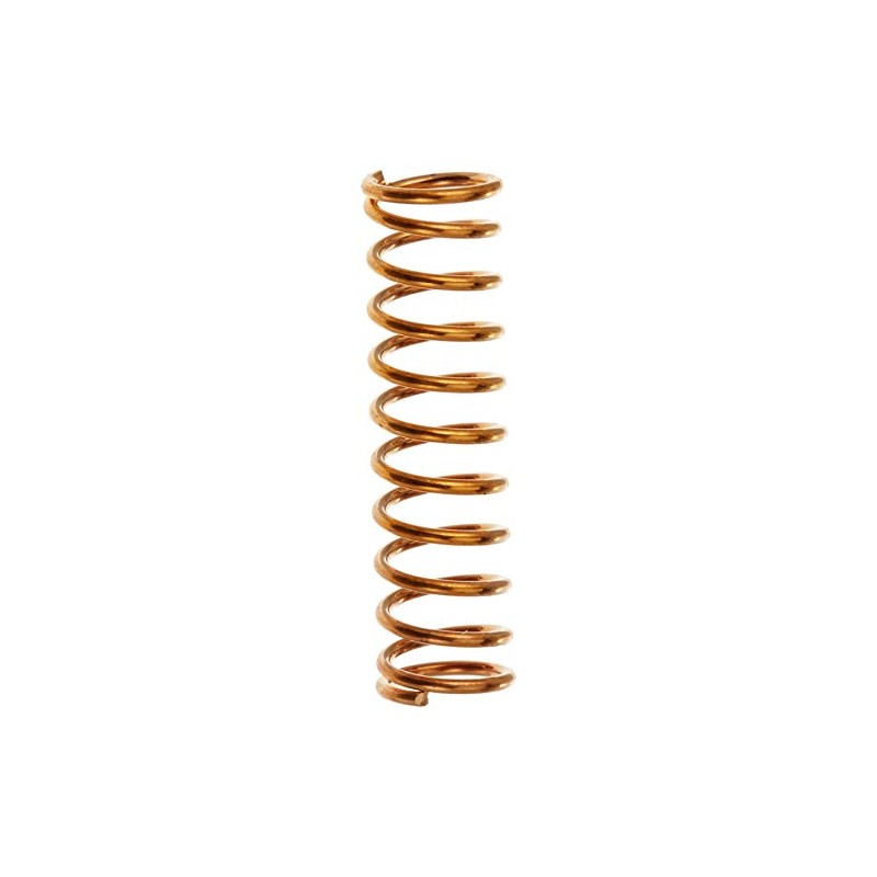 Cartridge Spring