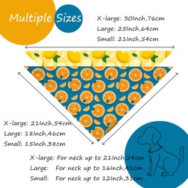 Cute Fruit Dog Bandanas 2 Pack, 4 Patterns Watermelon Lemon Orange Melon, Summer Dog Bibs for Large and XL Breed, Reversible Boy and Girl Pet Scarf（Large）