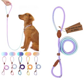 Bee N Buu Dog Leash - Slip Leads for Dogs, 5 FT Pet Training Leash, Strong Heavy Duty Braided No Pull Loop Rope Training Lead Leashes for Small, Medium, Large Breeds, Purple & Green