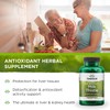 Swanson Milk Thistle-Herbal Liver Support Supplement-Natural Formula Helping to Maintain