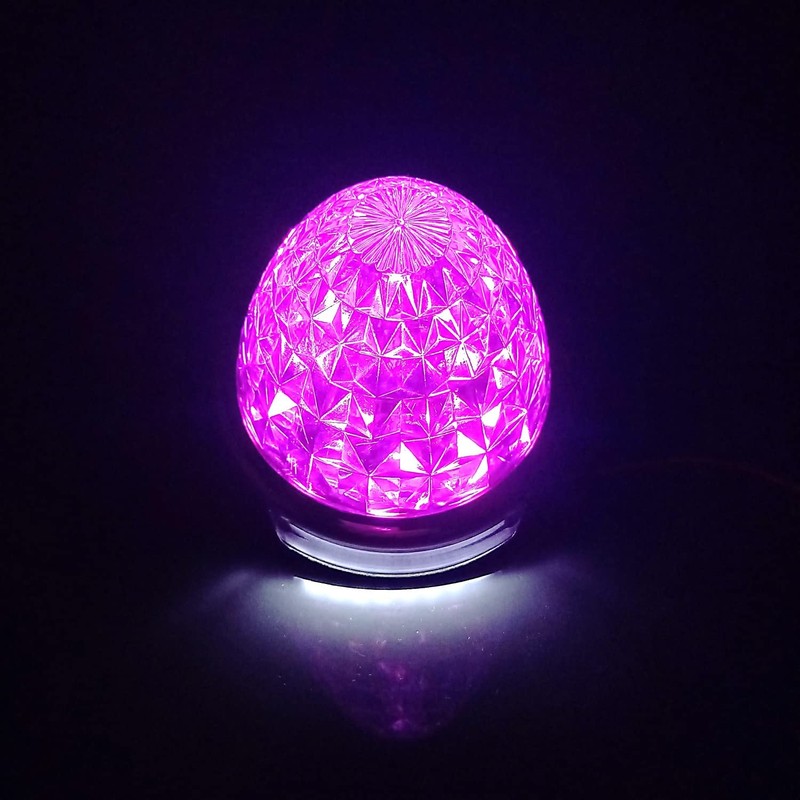 Customize (カスタマイズ) 12V 24V Truck LED Marker Lamp with Shoulder