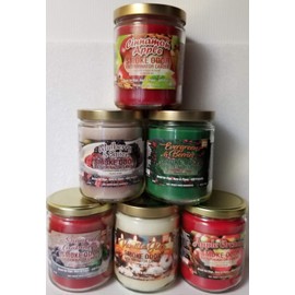 Smoke Odor Exterminator 13 oz Jar Candles Cinnamon Apple, Assortment (6) Includes Cinnamon Apple, Mulberry Spice,Evergreen & Berries,Apple Orchard, Vanilla Glitz and Sugared Cranberry.