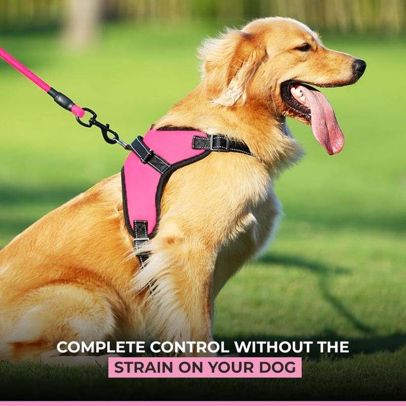 MobDog Puppy Harness and Lead Set – No Pull Dog