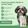 BIOMAA Shampoo para Perros con Extractos de Neem y Eucalipto,