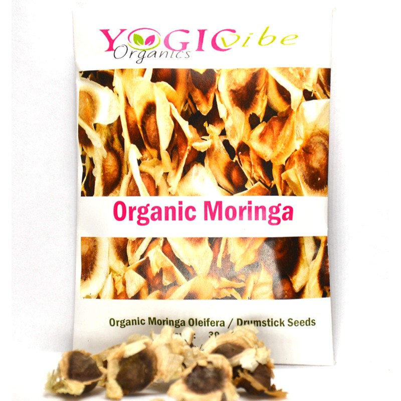 30 Organic Moringa Oleifera Drumstick Seeds Non-GMO for Sprouting, Planting,