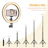 10" Ring Light with Tall Tripod Stand & Phone Holder