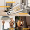 12-Pack Vintage LED Edison Bulbs 100W Equivalent 1400LM High Brightness