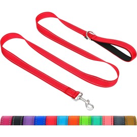 Taglory Dog Leash for Small Dogs, Double-Sided Reflective Dog Leash with Soft Neoprene Padded Handle, 3/4 inch by 4 ft, Fit Small Medium Large Breeds Dogs Under 20 lbs, Red