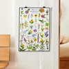 Where's Wildlife Missouri Wildflowers Poster - Native Prairie Blooms |