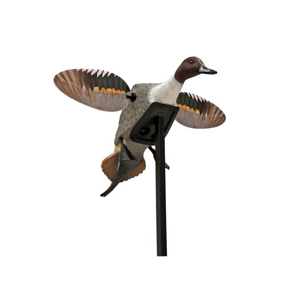 MOJO Elite Series Spinning Wing Duck Decoy, Duck Hunting Gear and Accessories, Pintail