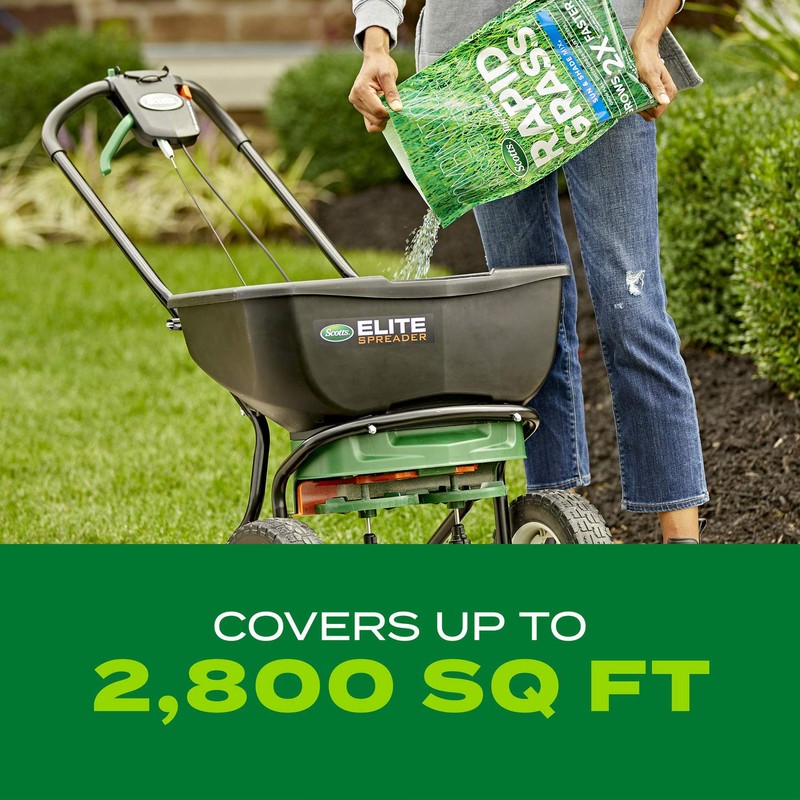 Scotts Turf Builder Rapid Grass Sun and Shade Mix, Combination