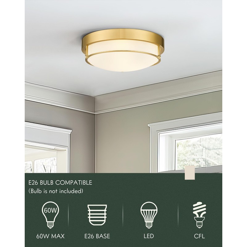 Cargifak 12 inch Flush Mount Light Fixture, 2-Light Modern Ceiling