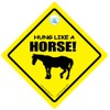 'Hanging As a Hanging Sign – Like A Horse, Car