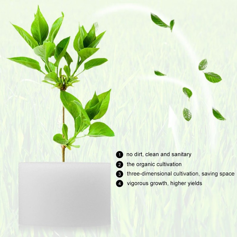 50 x Hydroponics Floorless Sponges 50 x 30mm