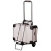 Kole Imports Portable Folding Luggage Cart