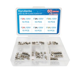 Mini Fuse 3.6x10mm 2A 3A 5A 125V Fast-Blow Glass Fuses Assortment Kit Christmas Light Fuses 0.14x0.39Inch Small Fuse for Outdoor String Lights（3 Models 60PCS）