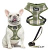 PUPTECK Soft Mesh Dog Harness and Leash Set Pet Puppy